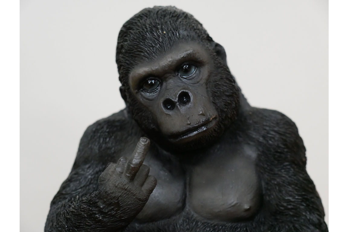 Up Yours Rude Swearing Finger Silverback Gorilla