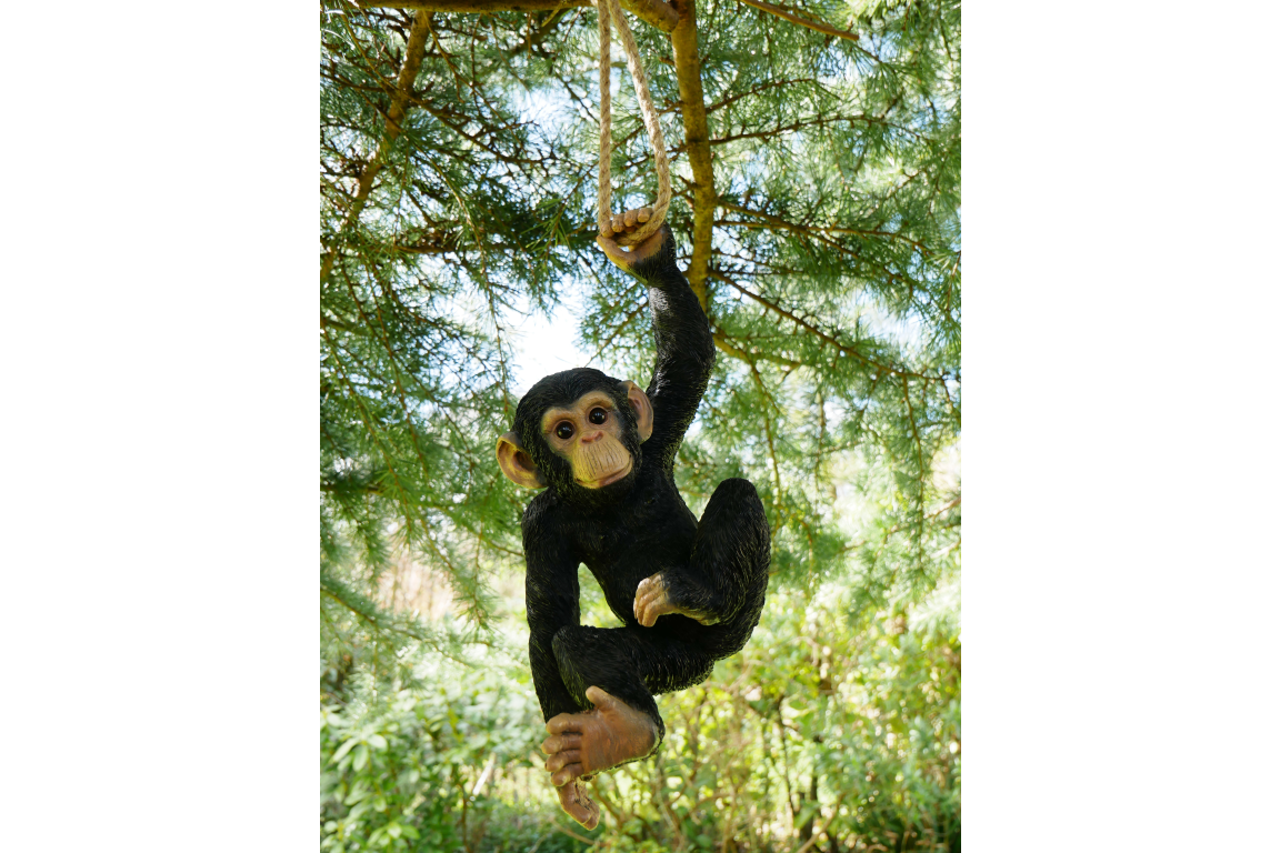 Garden hanging monkey on rope