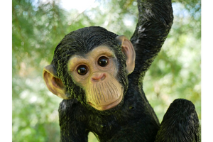 Garden hanging monkey on rope