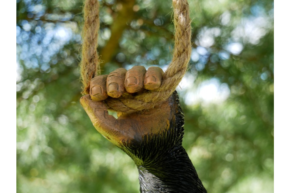 Garden hanging monkey on rope