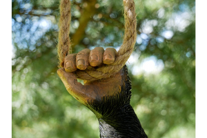 Garden hanging monkey on rope