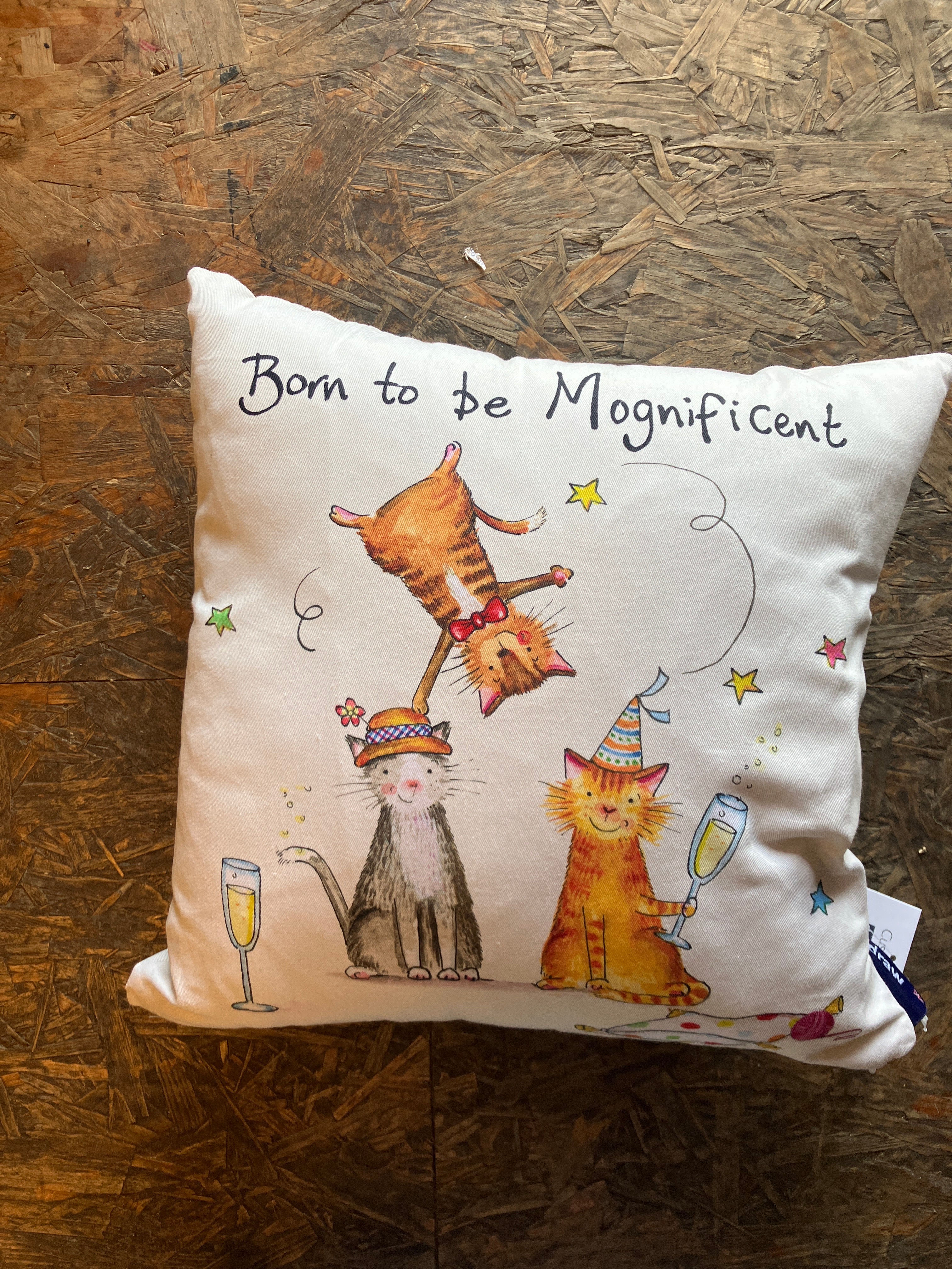 Magnificent cat cushion