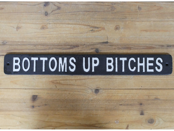 Bottoms Up Bitches Bar Hand Painted Cast Iron Sign