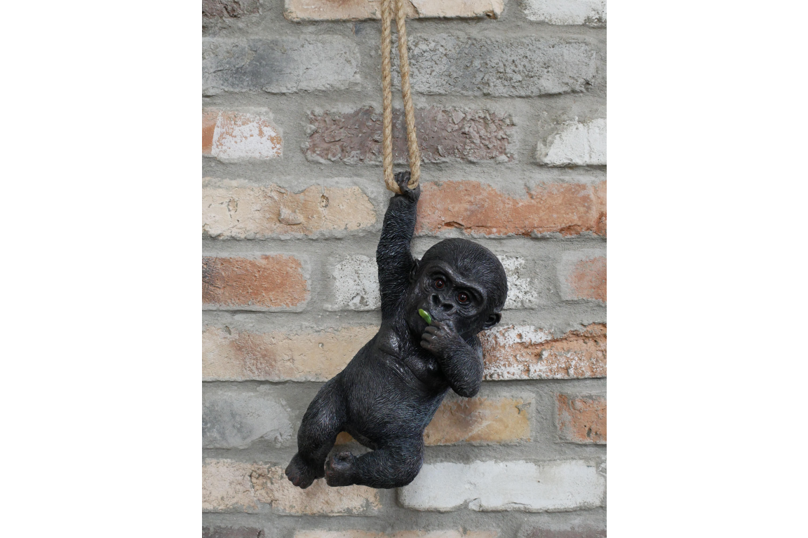 Hanging baby Gorilla on rope