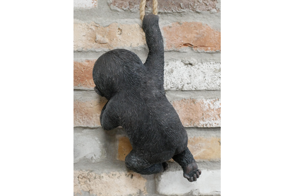 Hanging baby Gorilla on rope