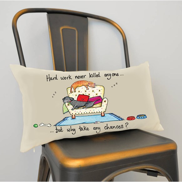 Funny Original Artwork Filled Scatter Cushion - Many Designs to Choose From