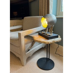 Goose Duck Egg Table Desk Lamp