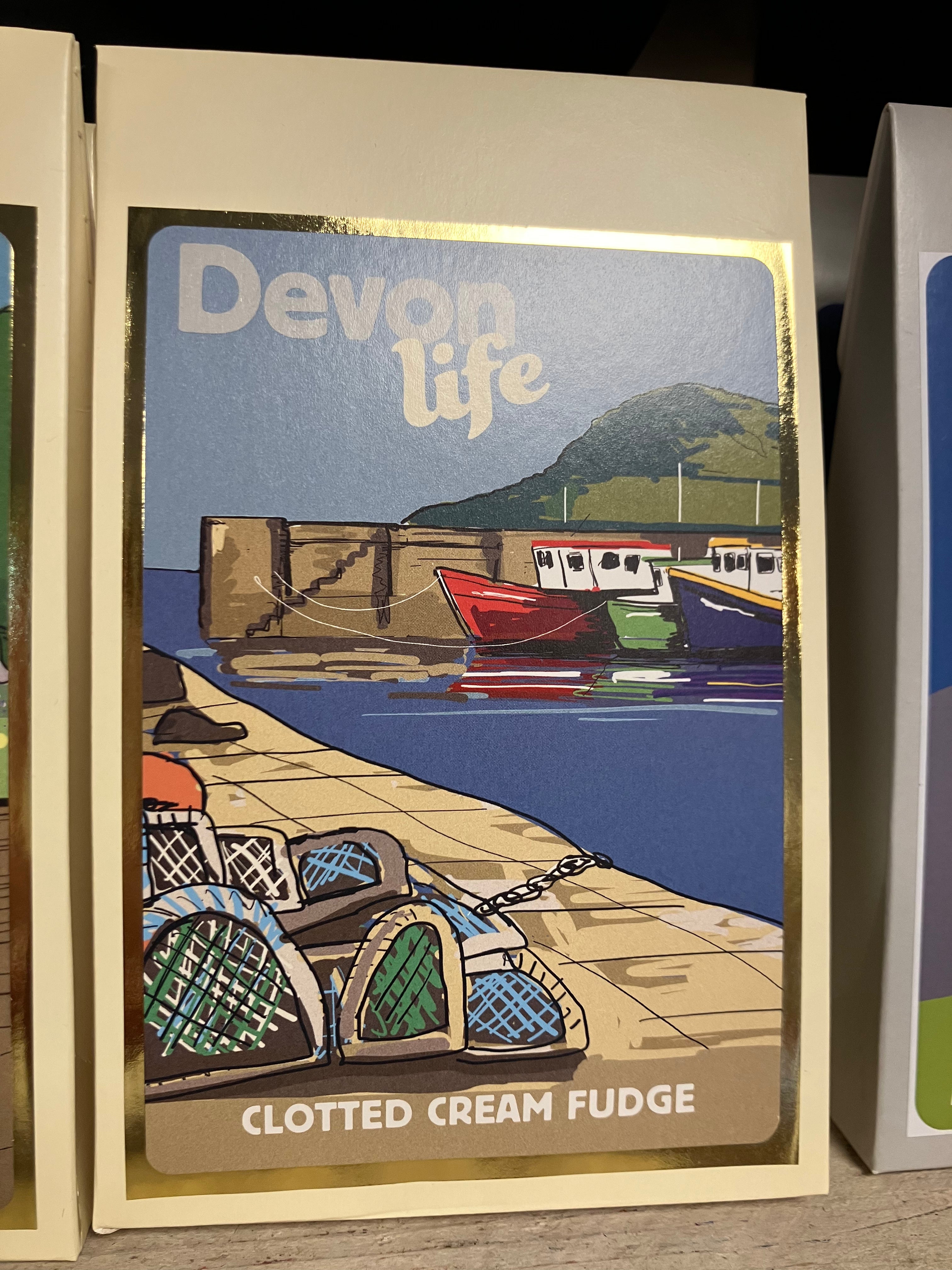 Devon West Country Clotted Cream Fudge 170g