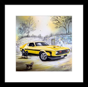 Ford Mustang picture