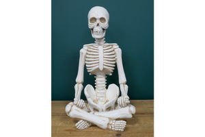 Large Yoga Lotus Pose Skeleton Large Sculpture