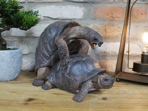 Happy Tortoise Mating Figure