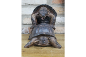 Happy Tortoise Mating Figure