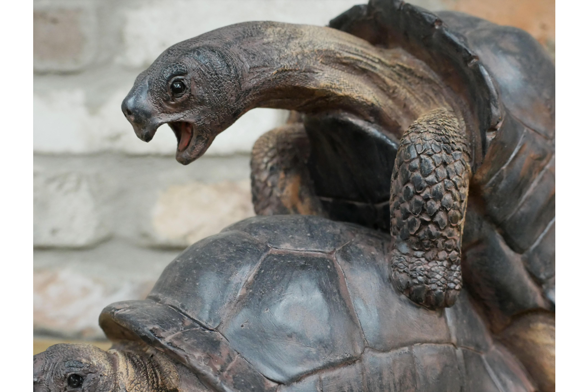 Happy Tortoise Mating Figure