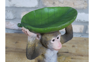 Monkey Leaf Dish
