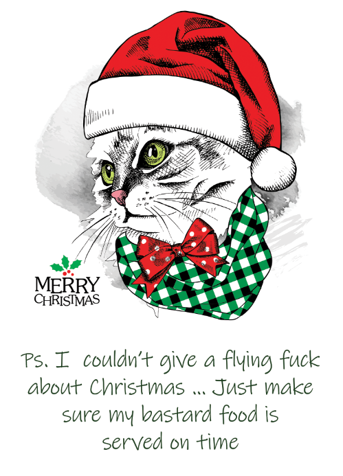 Rude Cat Daddy / Mommy Funny Christmas Card - Free Postage!