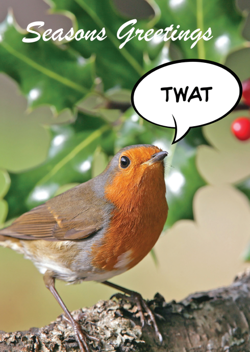 Robin Twat Rude Christmas Funny Christmas Card - Free Postage!