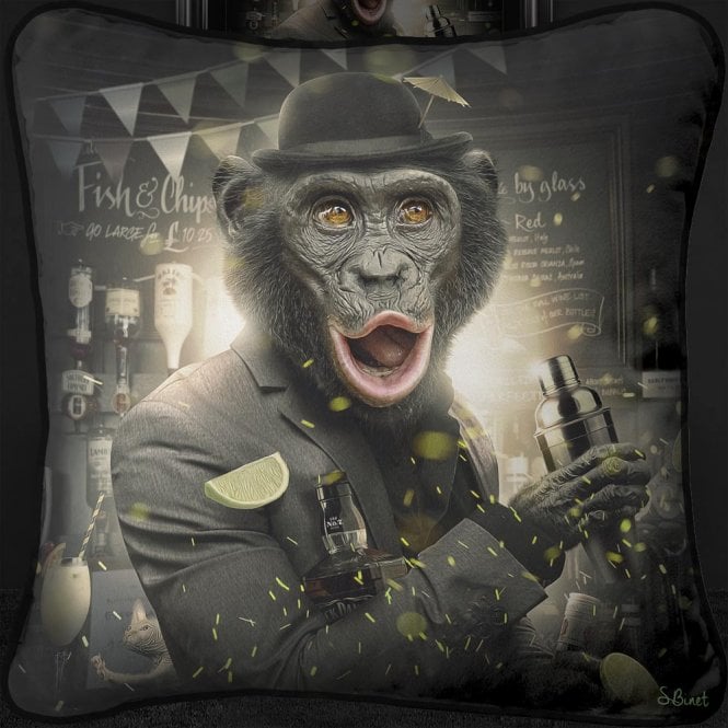 Licenced Sylvan Binet Artwork Silk Printed Duck Feather Filled Large Statement Cushion - Choice of designs