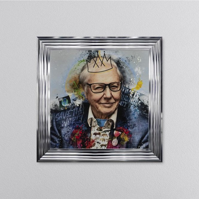 David Attenborough Framed Liquid Art Picture silver