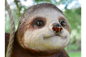 Hanging garden Sloth on rope