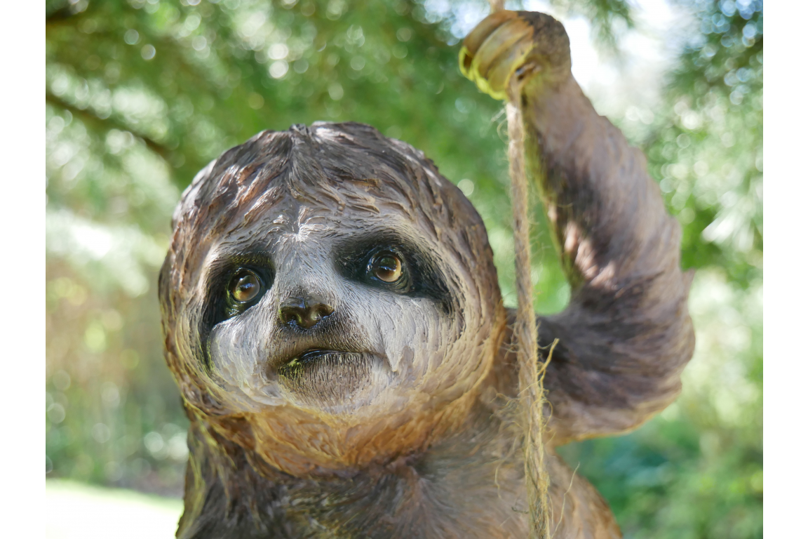 Salvador the climbing Sloth on rope
