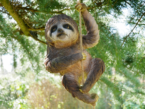 garden sloth on rope 